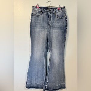 Judy Blue Flare Jeans